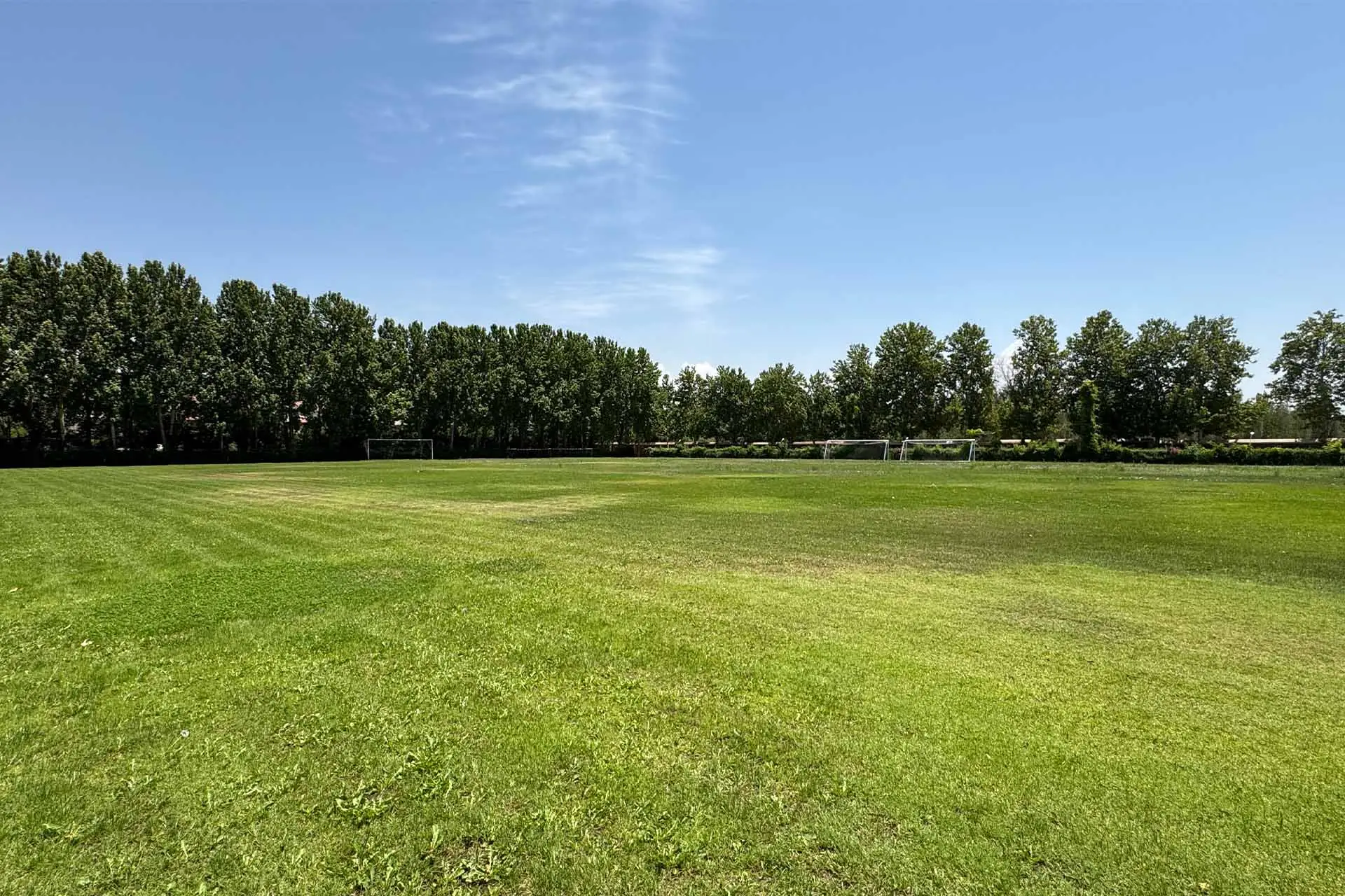 زمین چمن دهکده